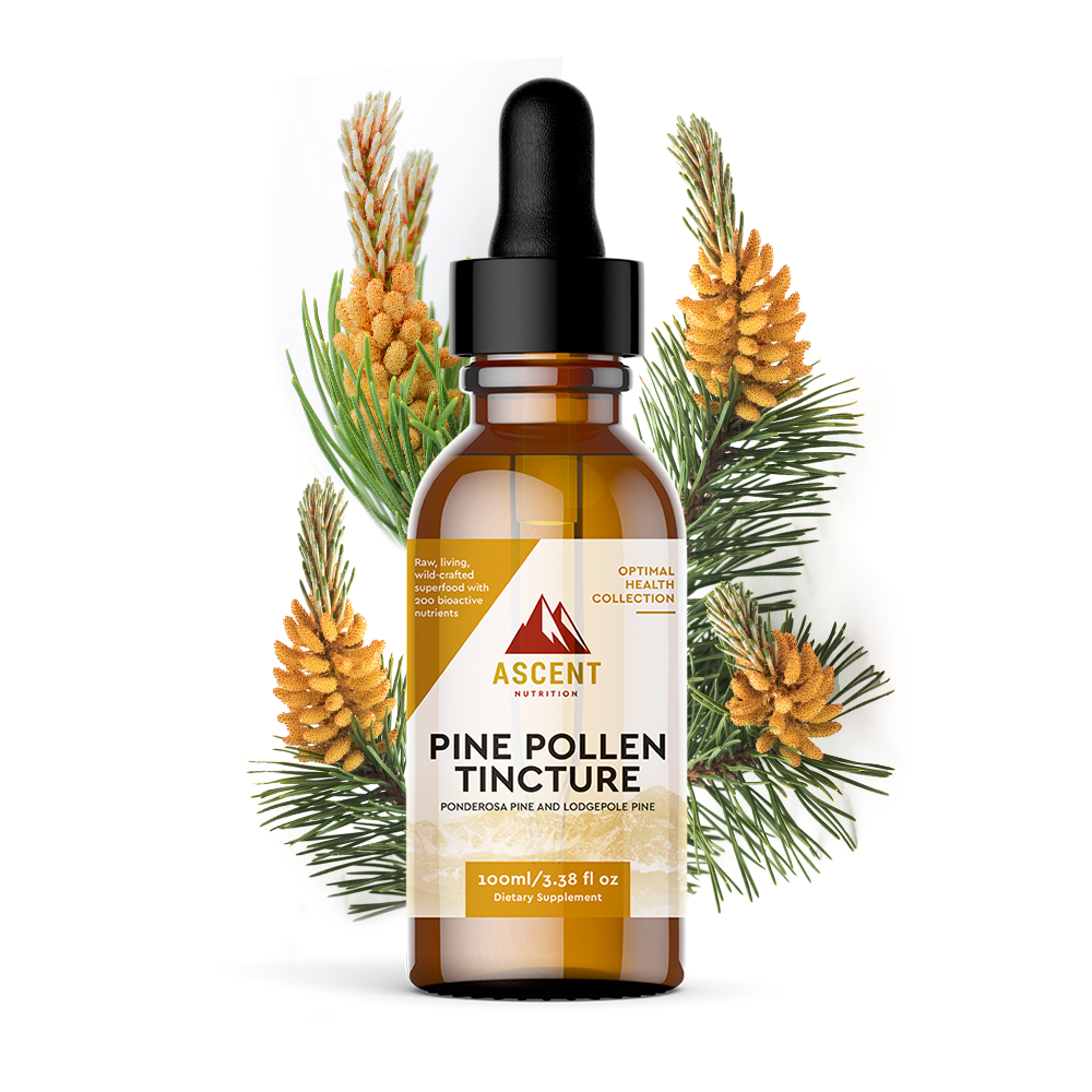 Ascent Nutrition Wild-Harvested Pine Pollen Tincture Review: A Clean Adaptogen Boost