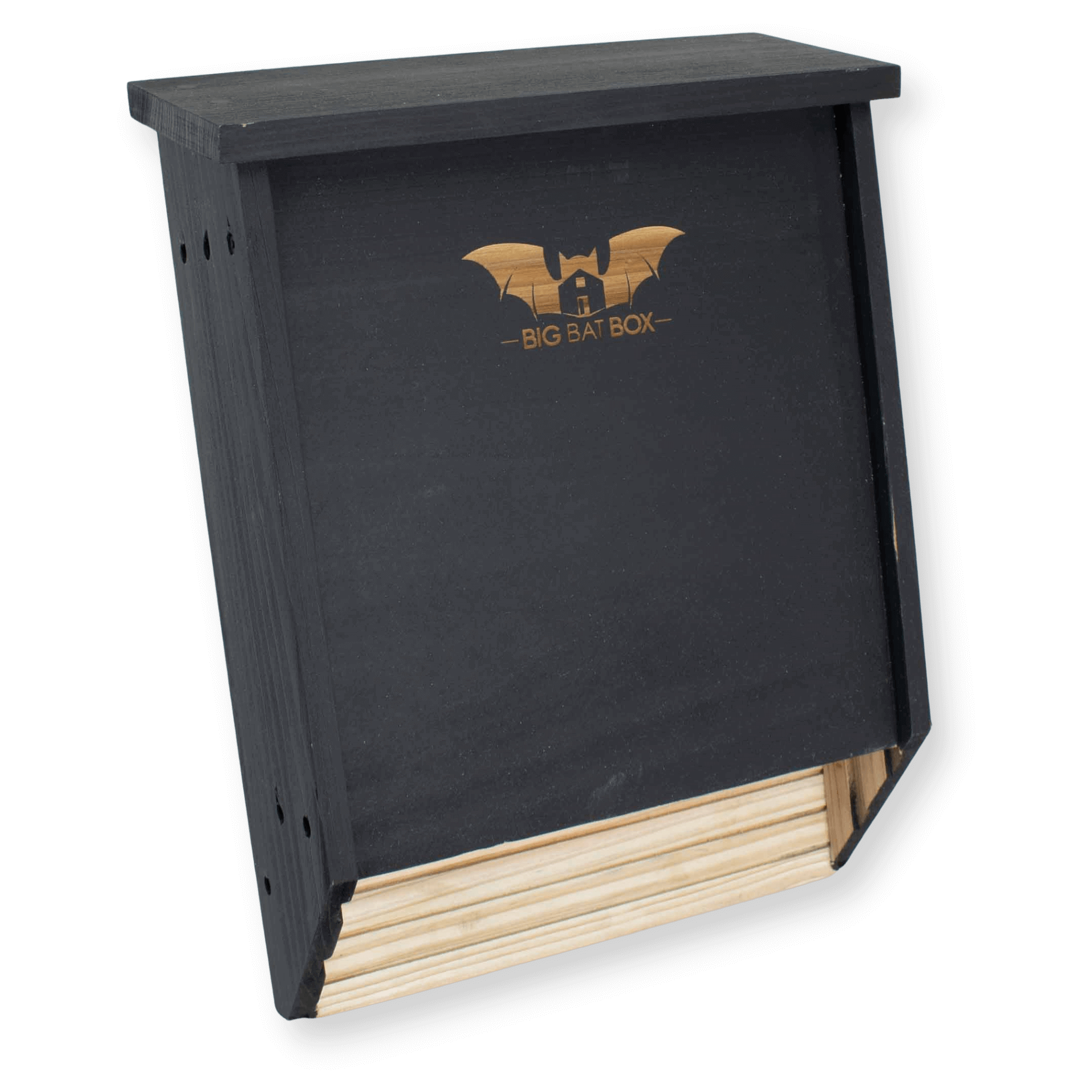 Big Bat Box Double-Chamber Bat House Review: Cedar Roost for Up to 75 Bats