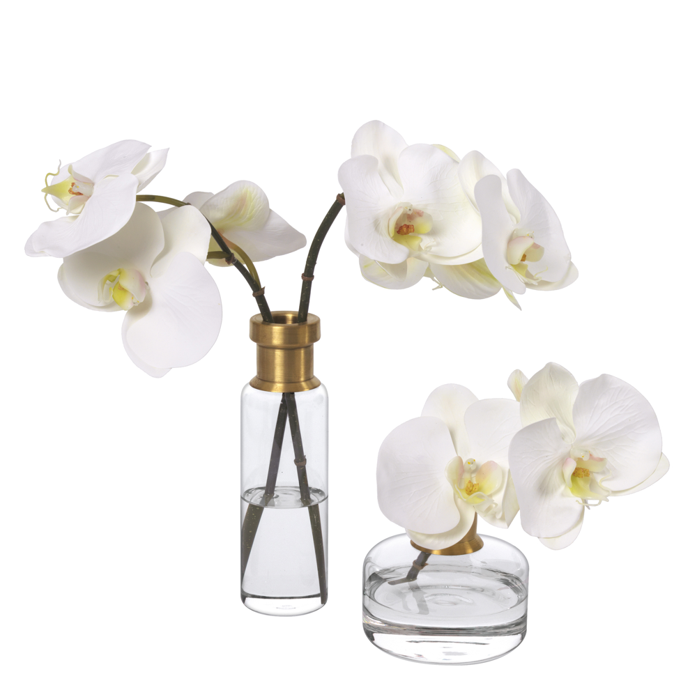 Diane James Home Duet Review: Faux Orchid Blossom Set