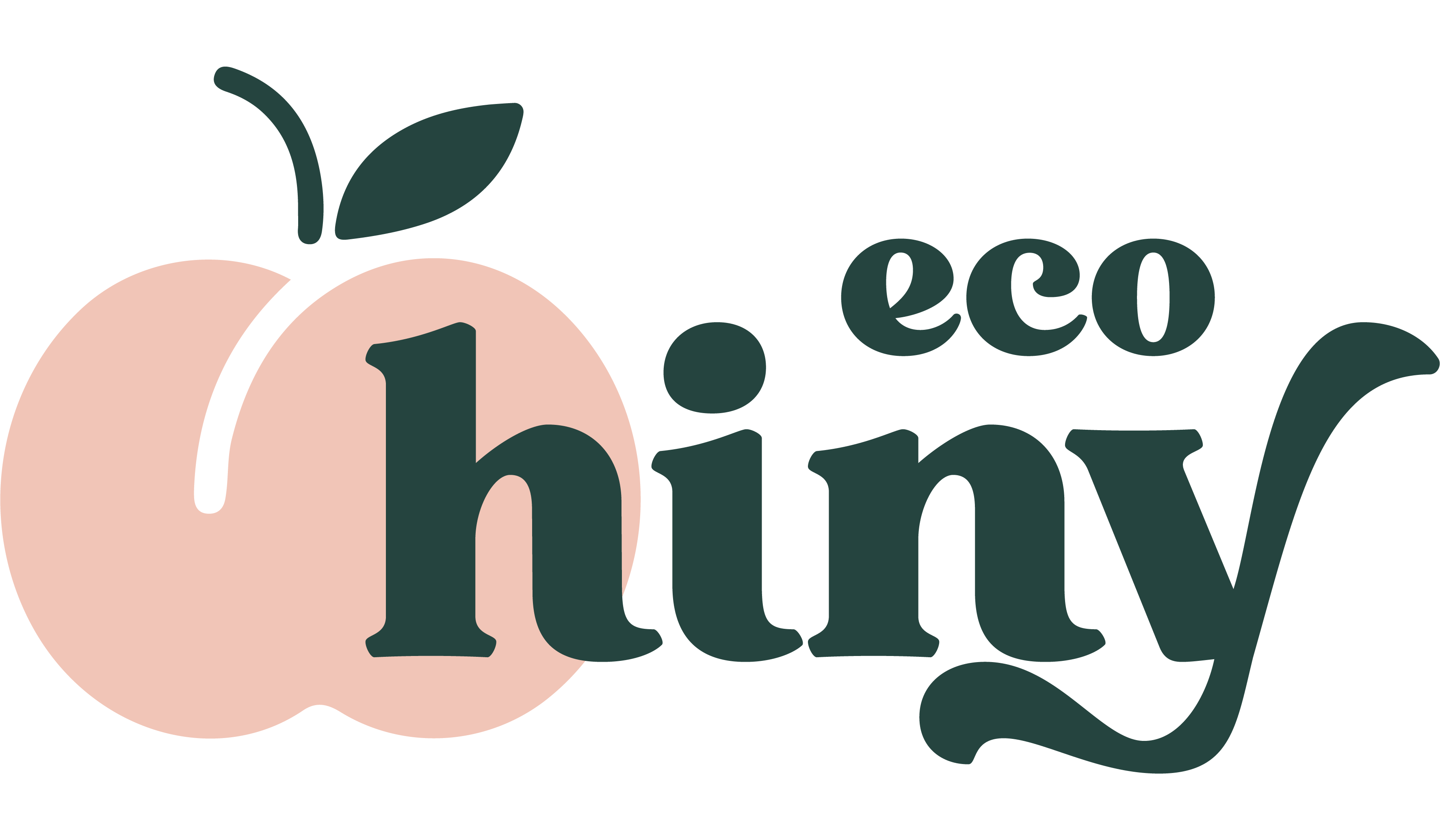 ecoHiny logo