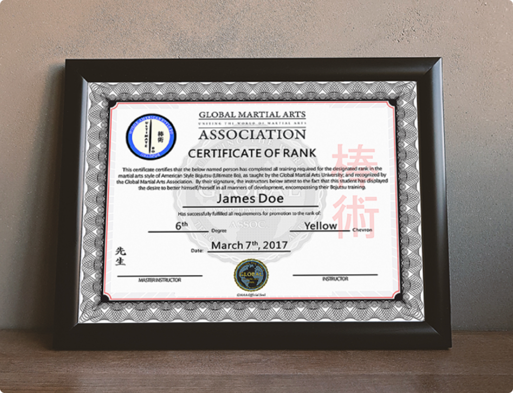 Global Martial Arts University Review: Can You Really Earn a Belt Online?