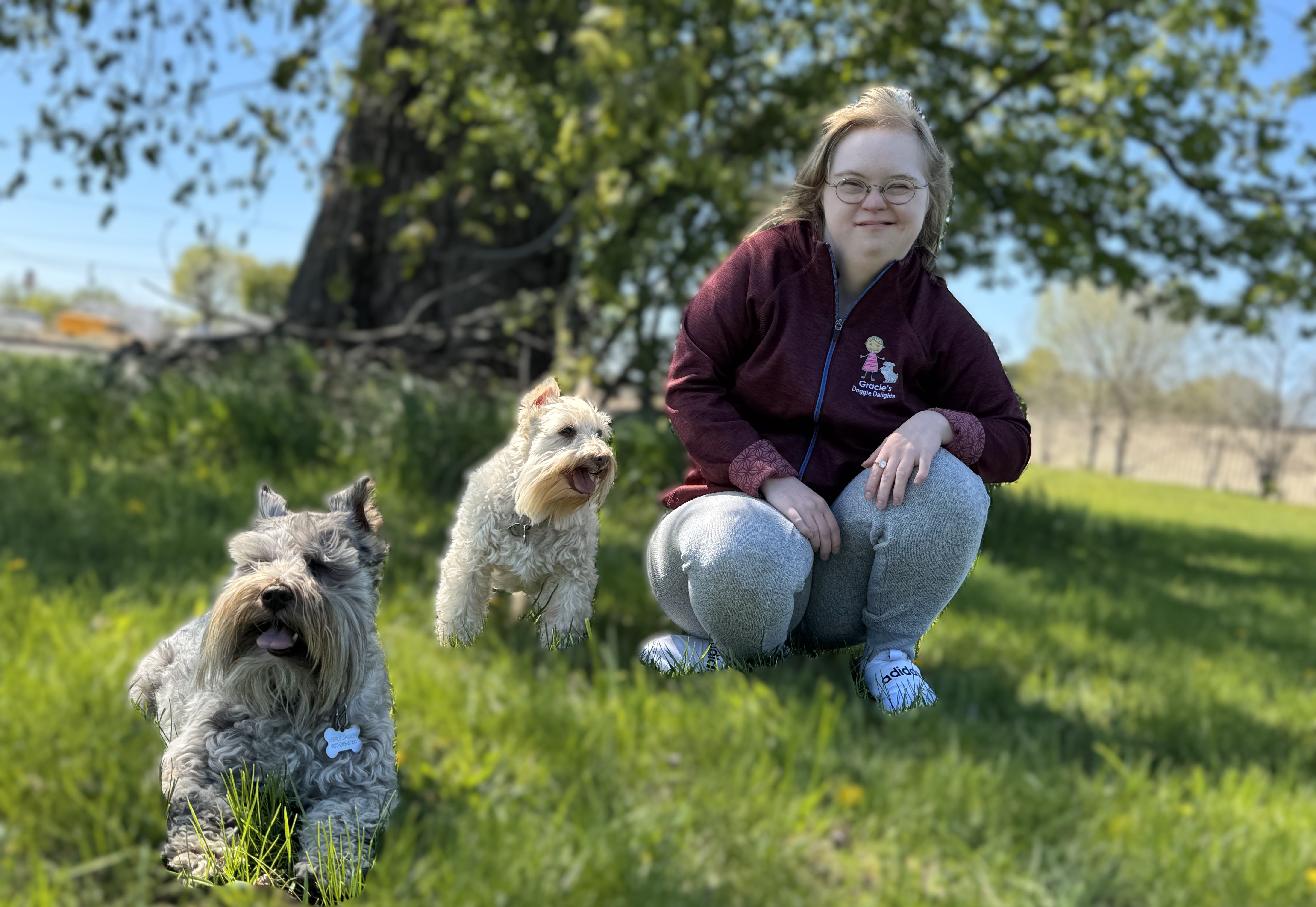 Gracies Doggie Delights Review: My Honest, In-Depth Experience