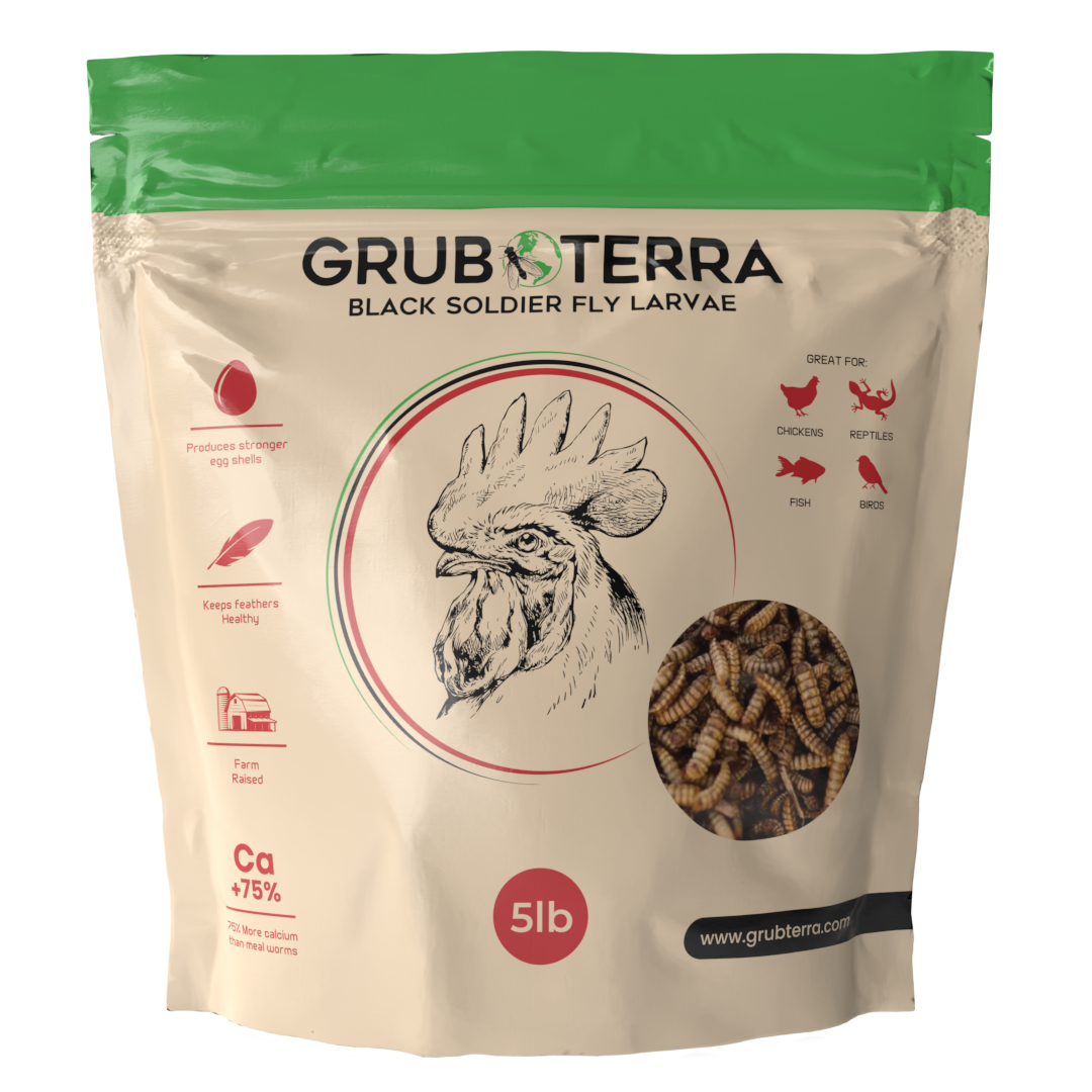 GrubTerra Dried Black Soldier Fly Larvae (5lb) Review