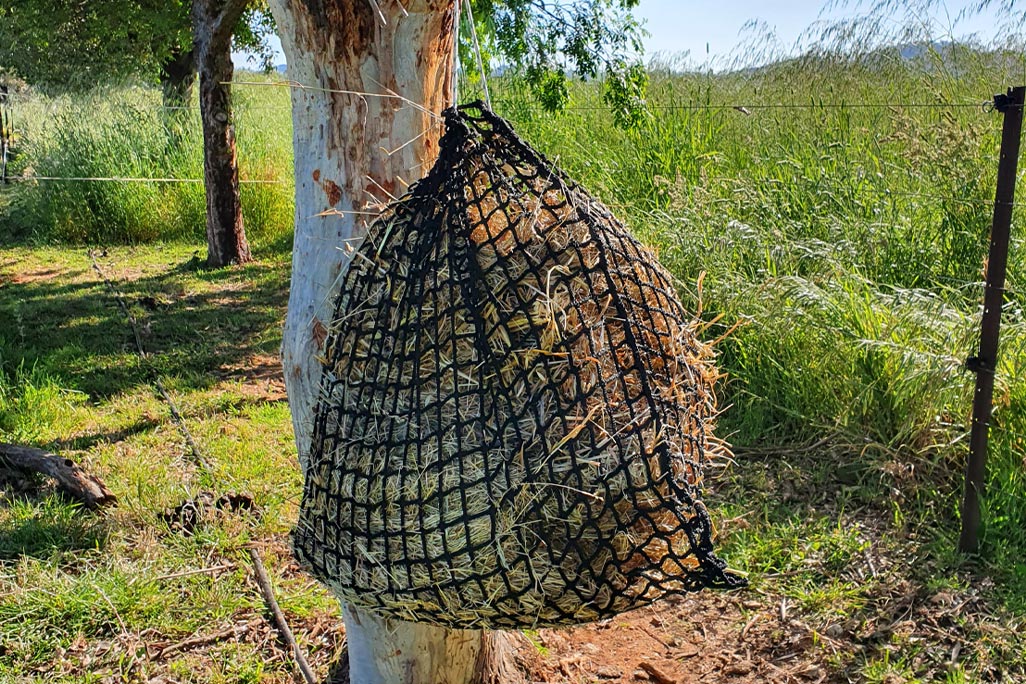 GutzBusta Medium Knotless Slow Feed Hay Net Review: Does It Really Cut Hay Waste?