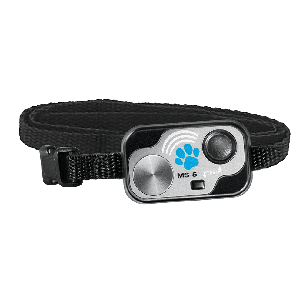 I Tested the High Tech Pet MS-5 Electronic Collar With My Dog Door — Honest Review