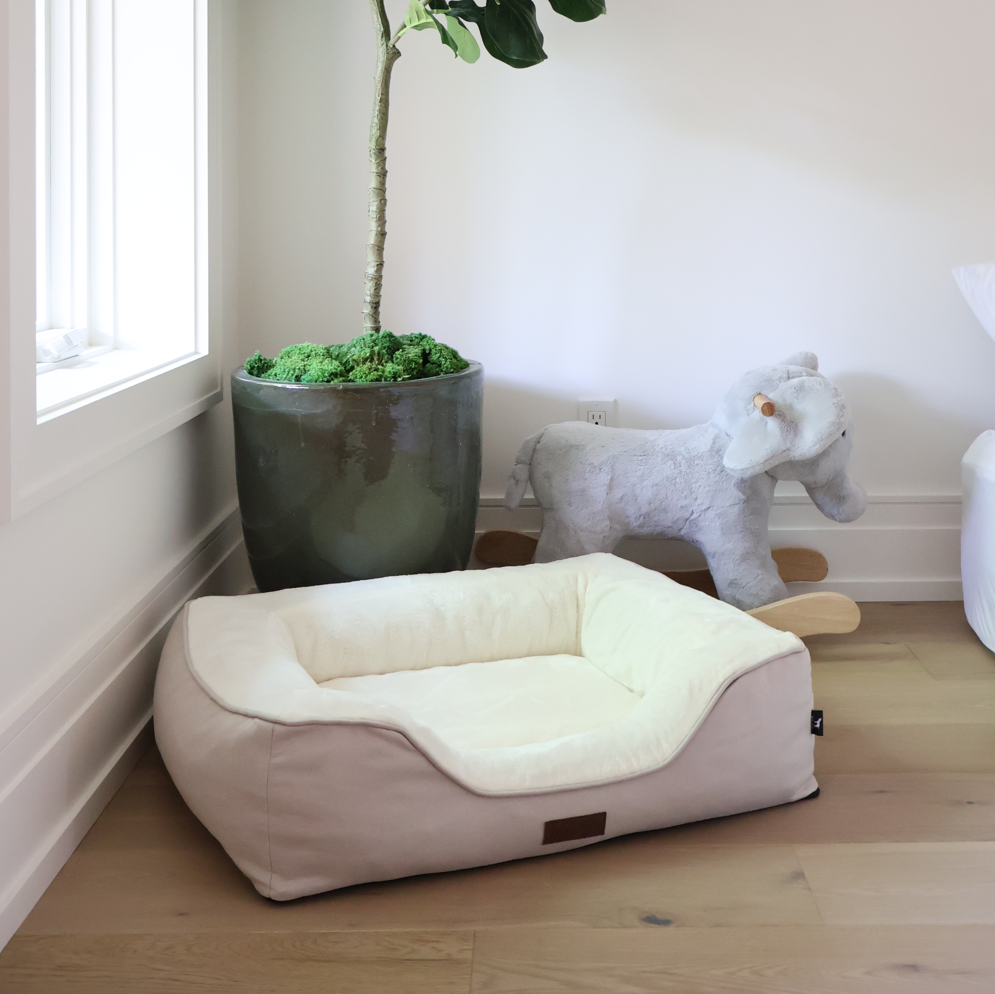 Jacko & Co Ultra Comfort Orthopedic Dog Bed Review: Worth It for Senior Dogs?