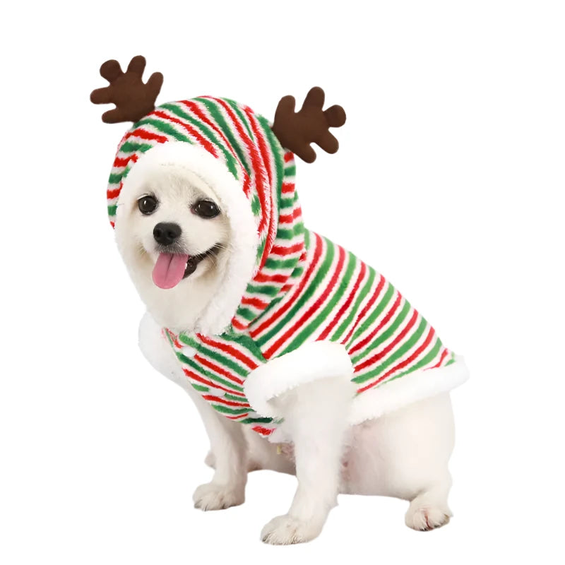 Le Puppino Kopal Review: Dog Apparel Sizing and Pricing