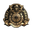 11SIX24 logo