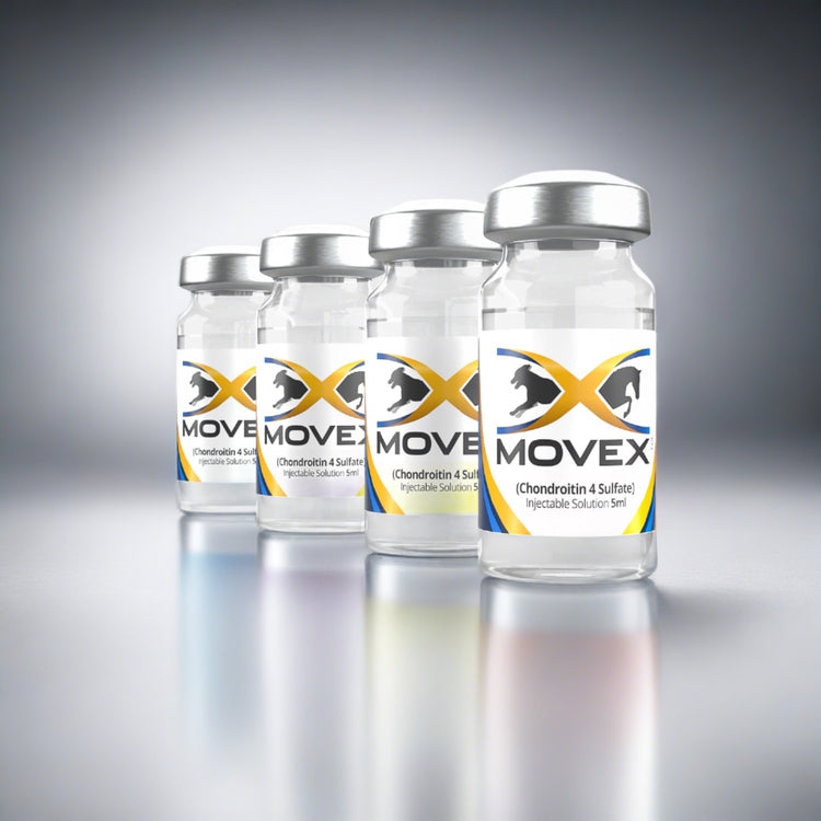 Movex Equine Loading Dose (4-Pack) Review