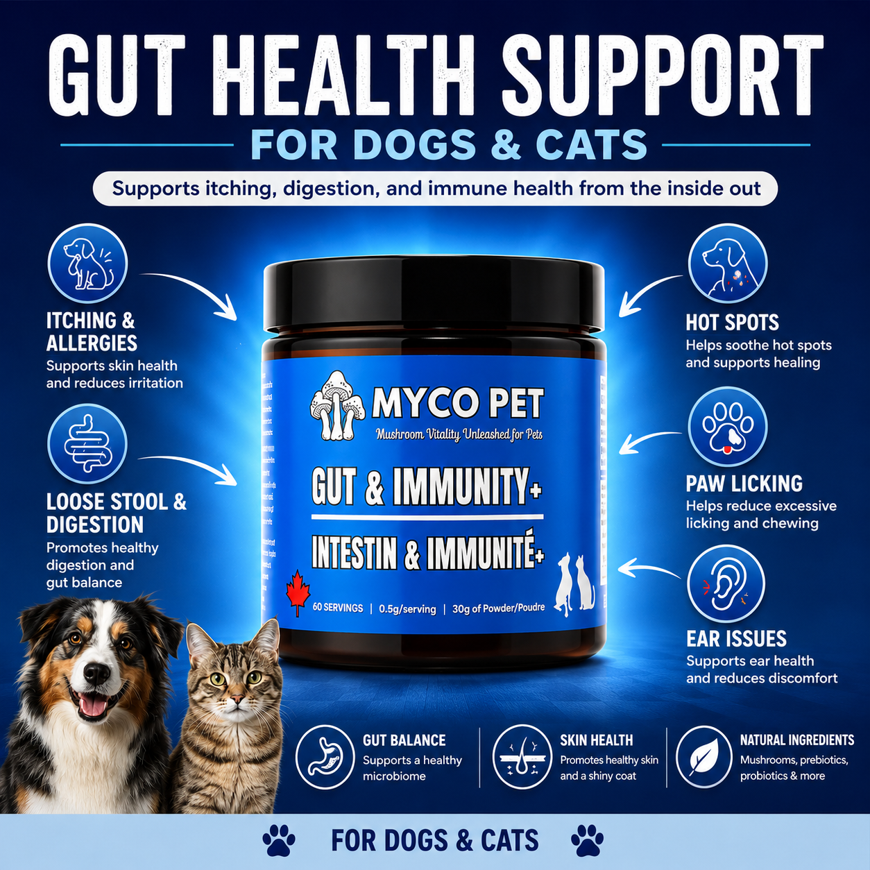 Myco Pet Gut & Immunity+ Review: A Mushroom and Colostrum Powder for Dogs and Cats