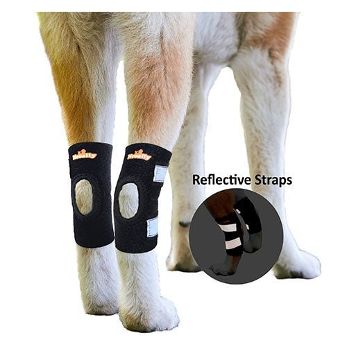 NeoAlly Rear Leg Hock Braces Review: Support Braces for Dogs