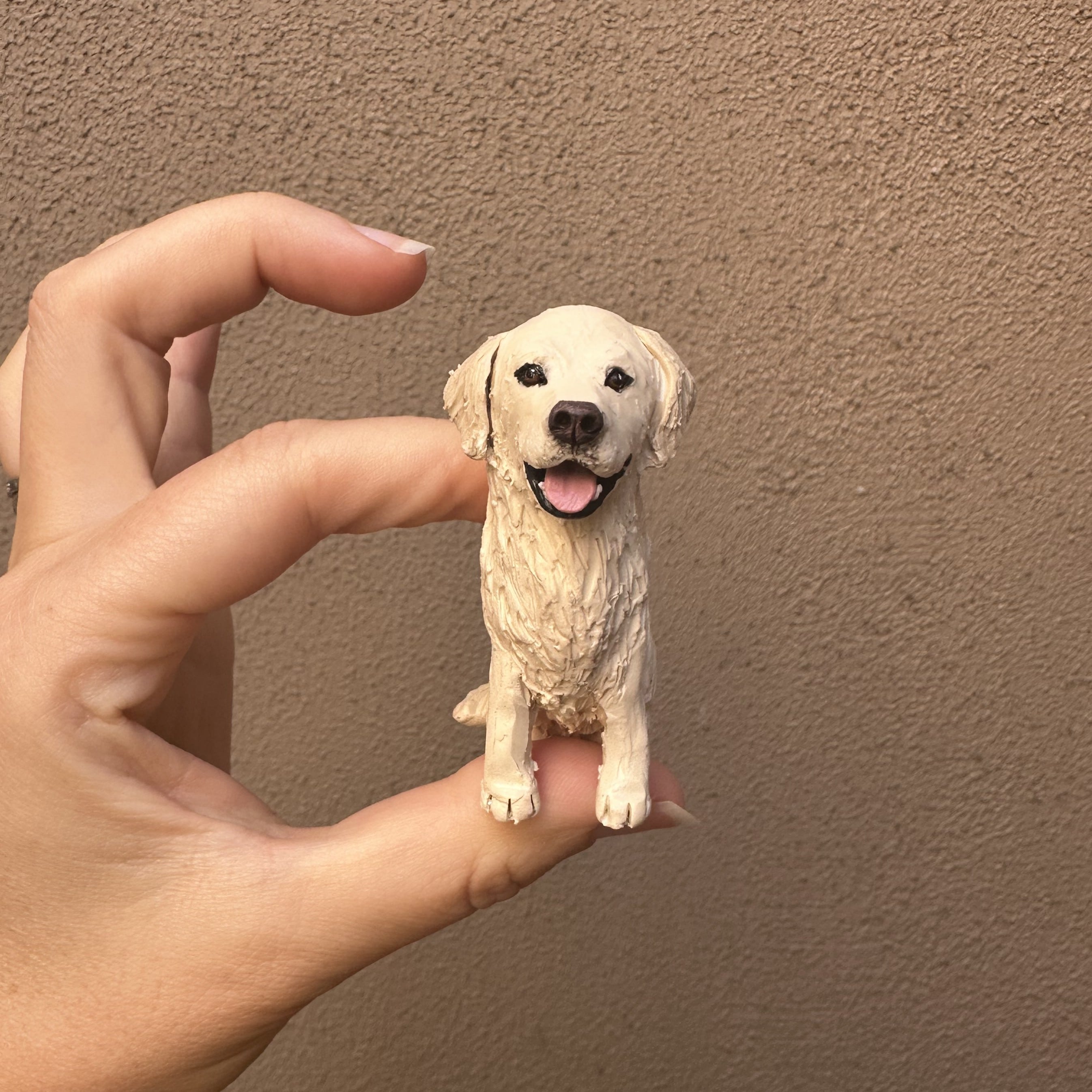Pawfectlove Custom Pet Cake Topper Review