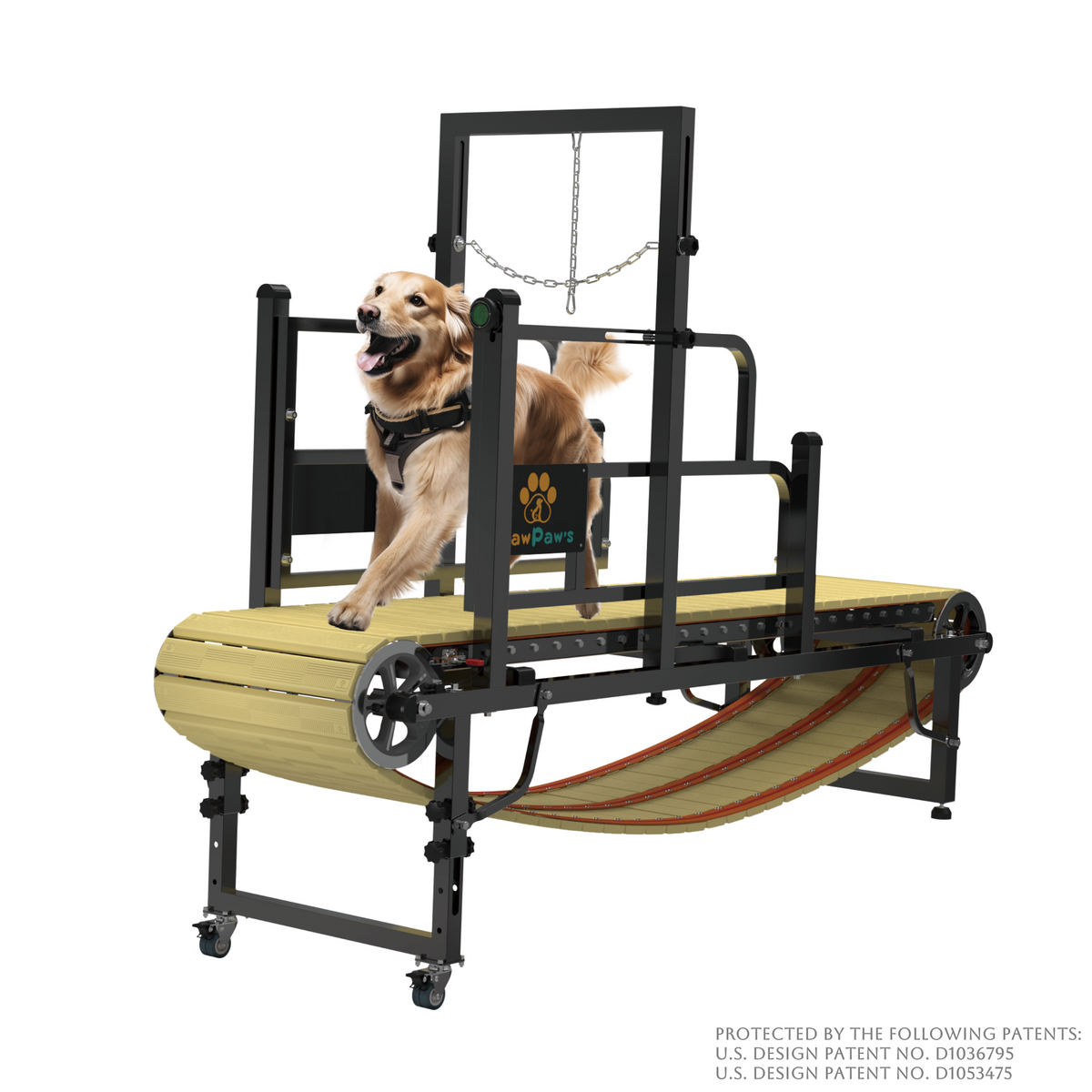 PawPaw's Dog Treadmill for Medium Dogs Review