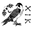 11SIX24 logo