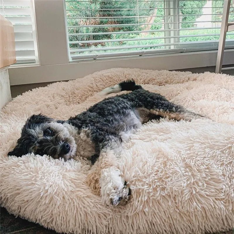 PetDoctors Super-Soft Ergonomic Calming Pet Bed Review: A Donut-Style Bed With 237 Customer Reviews
