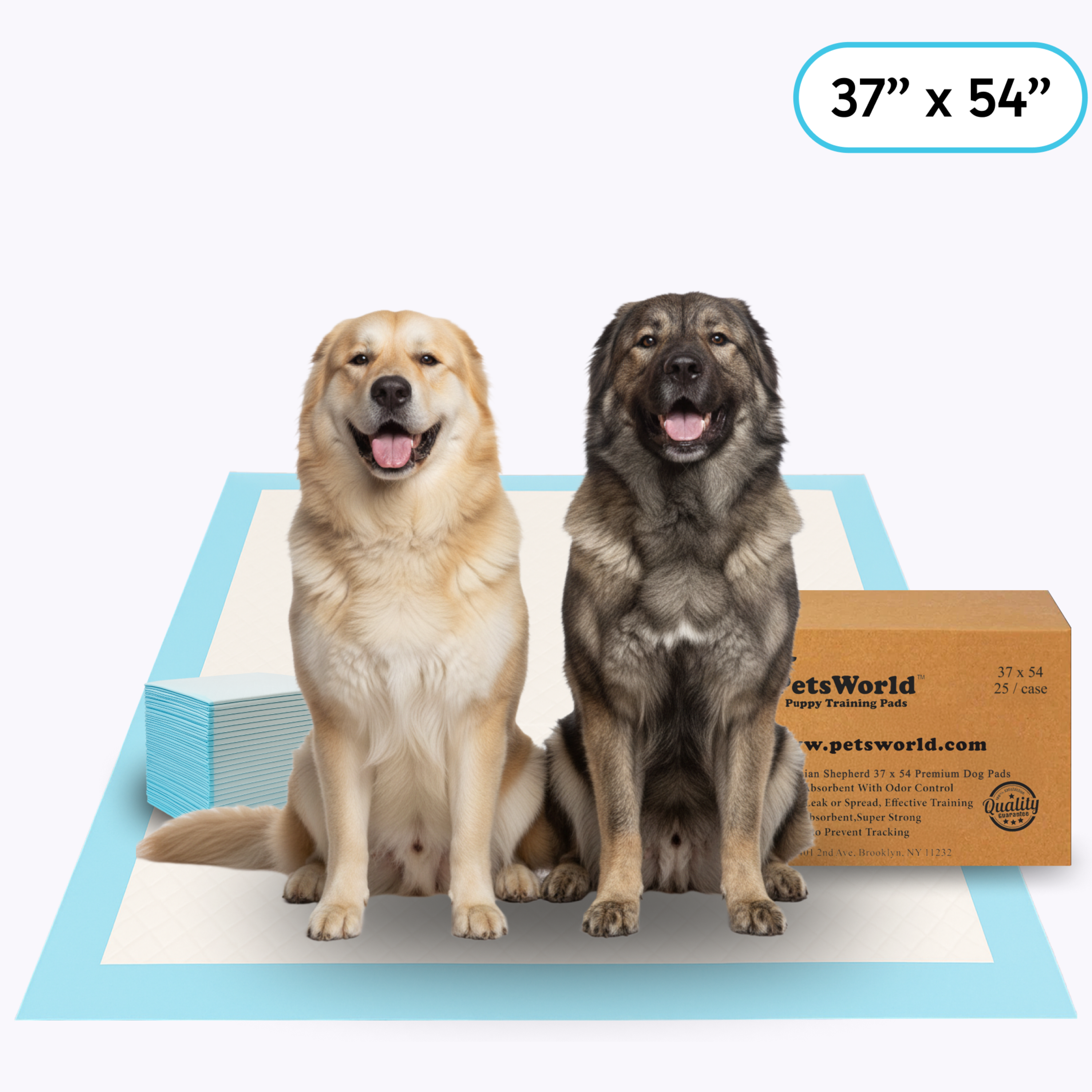 PetsWorld 3XL Dog Potty Pads Review: Full Coverage for Large Breeds and Multi-Pet Homes