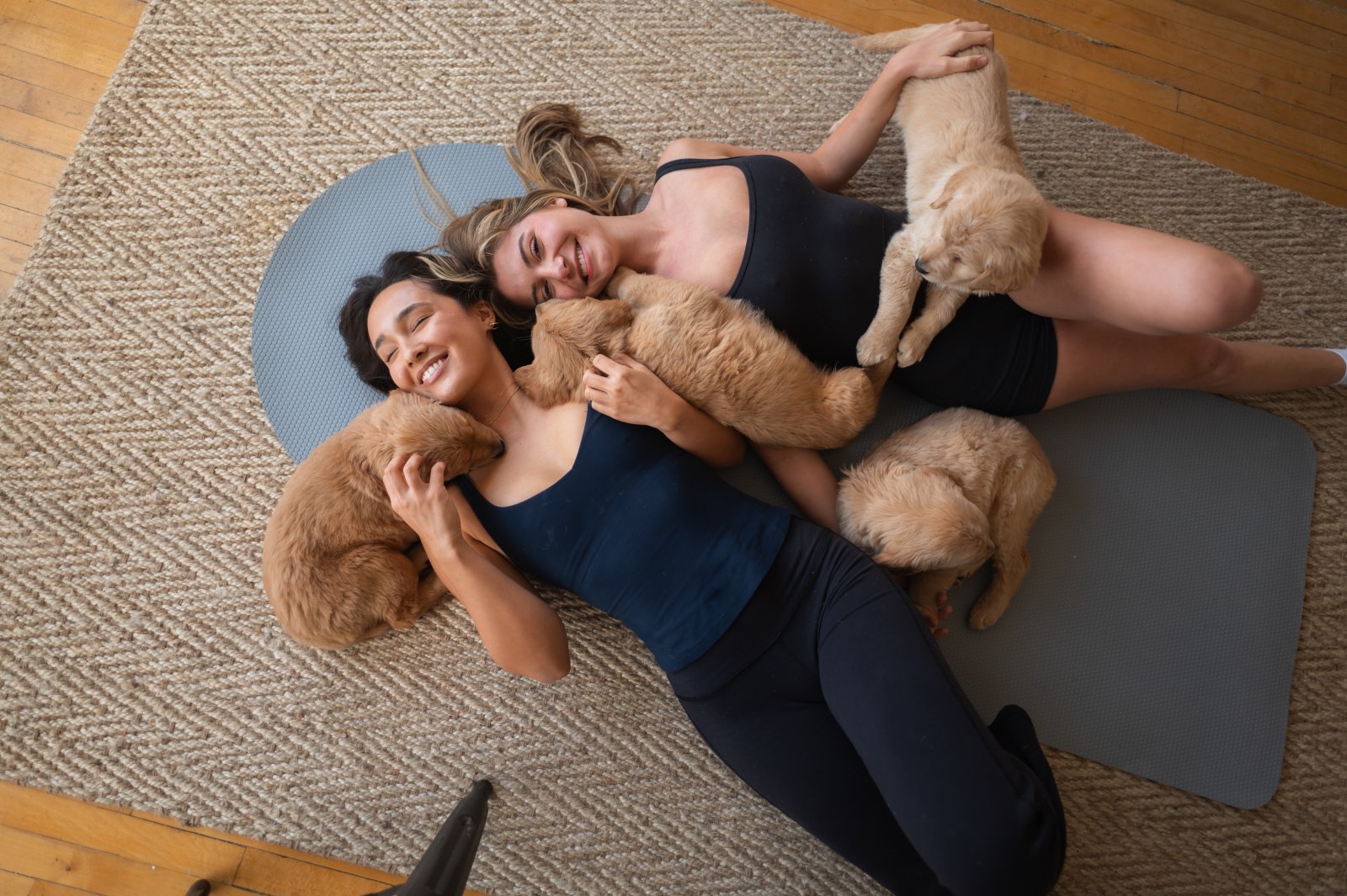 Puppy Sphere Chicago West Town Puppy Yoga Review