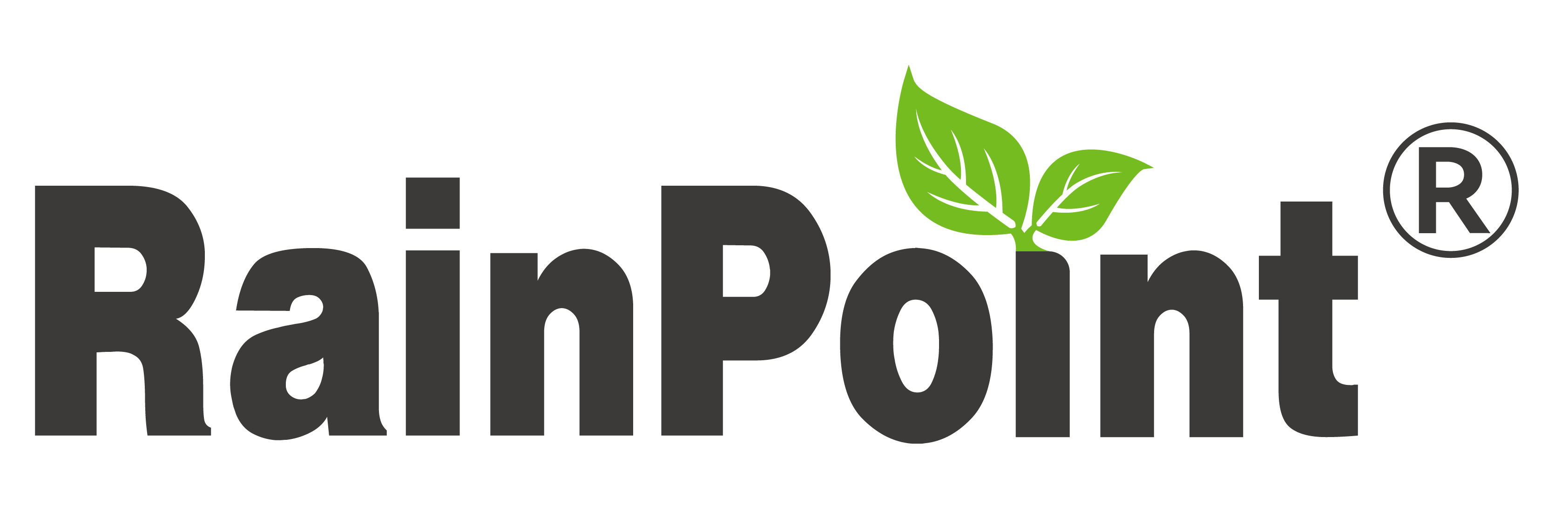 RainPoint logo