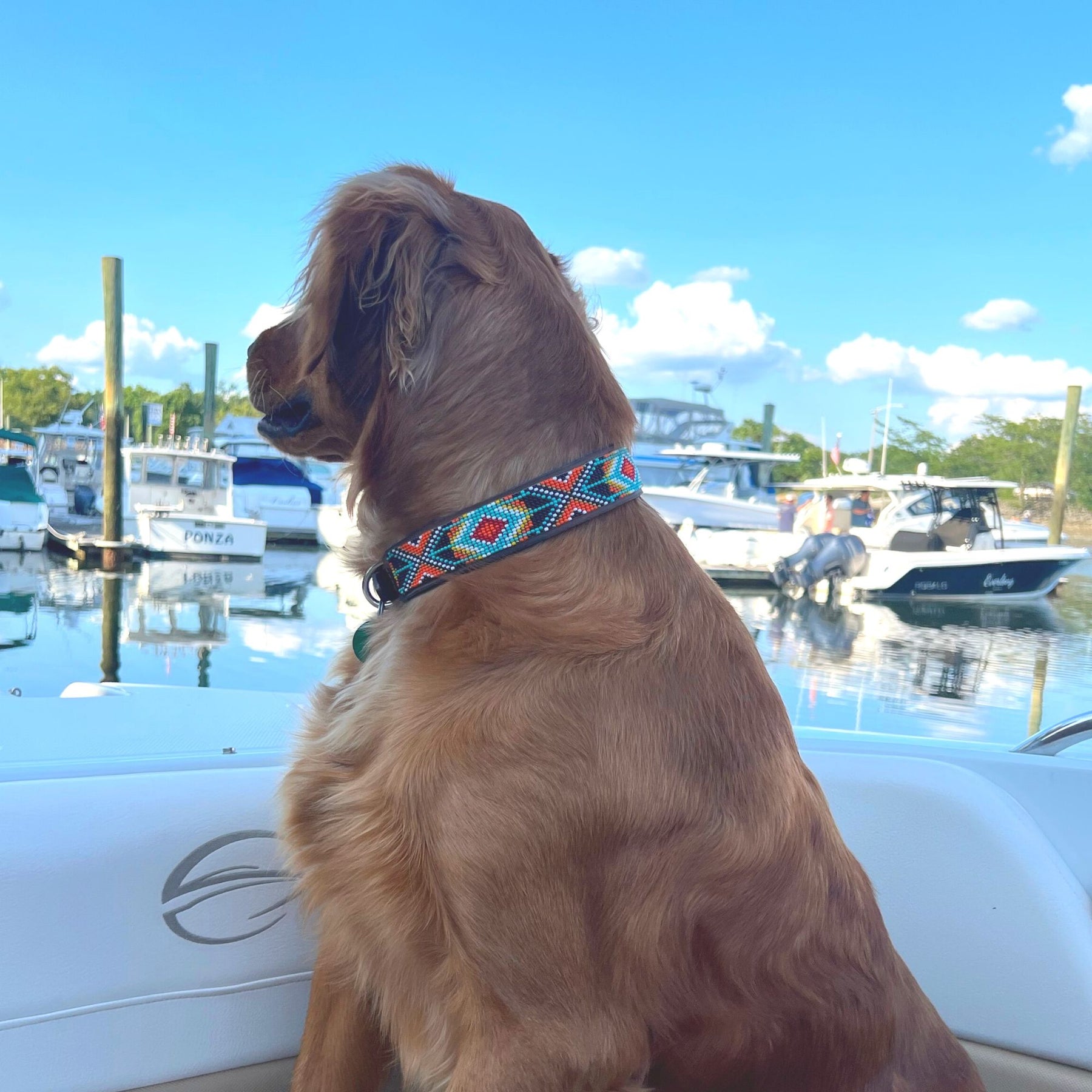 Sambboho Biarritz Dog Collar Review: French-Made Style For Your Pup