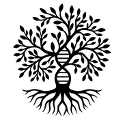 11SIX24 logo