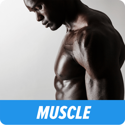 SnackBeast Muscle Beast Protein Snack Box Review