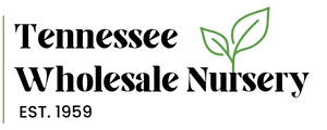 11SIX24 logo