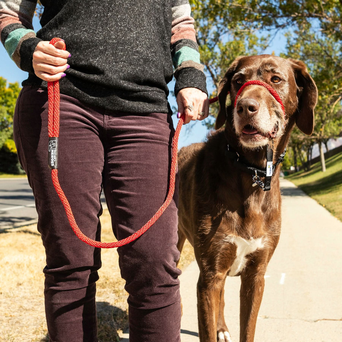 The Sidekick by Heather's Heroes Review (2026): The Transitional Leash That Finally Stopped My Dog From Pulling