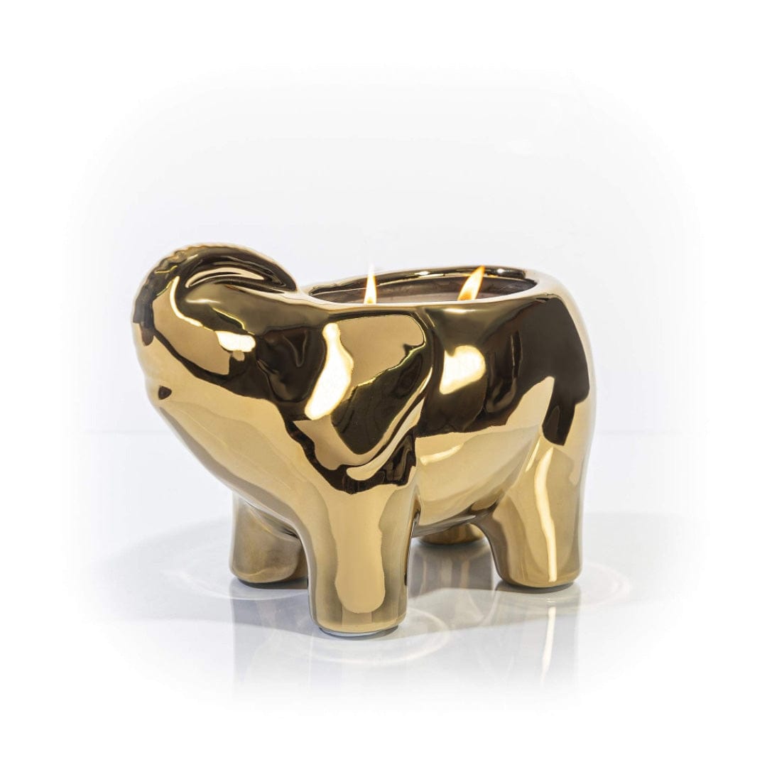Thompson Ferrier Gold Elephant Candle Review 2026: Is This Luxury Candle Worth It?