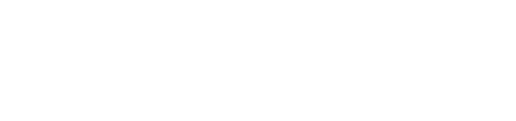 Viossi logo