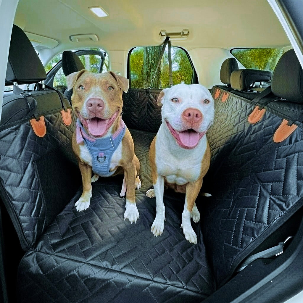 Whisker Bark Dog Seat Cover with Hard Bottom Review: Worth It for Big Dogs?