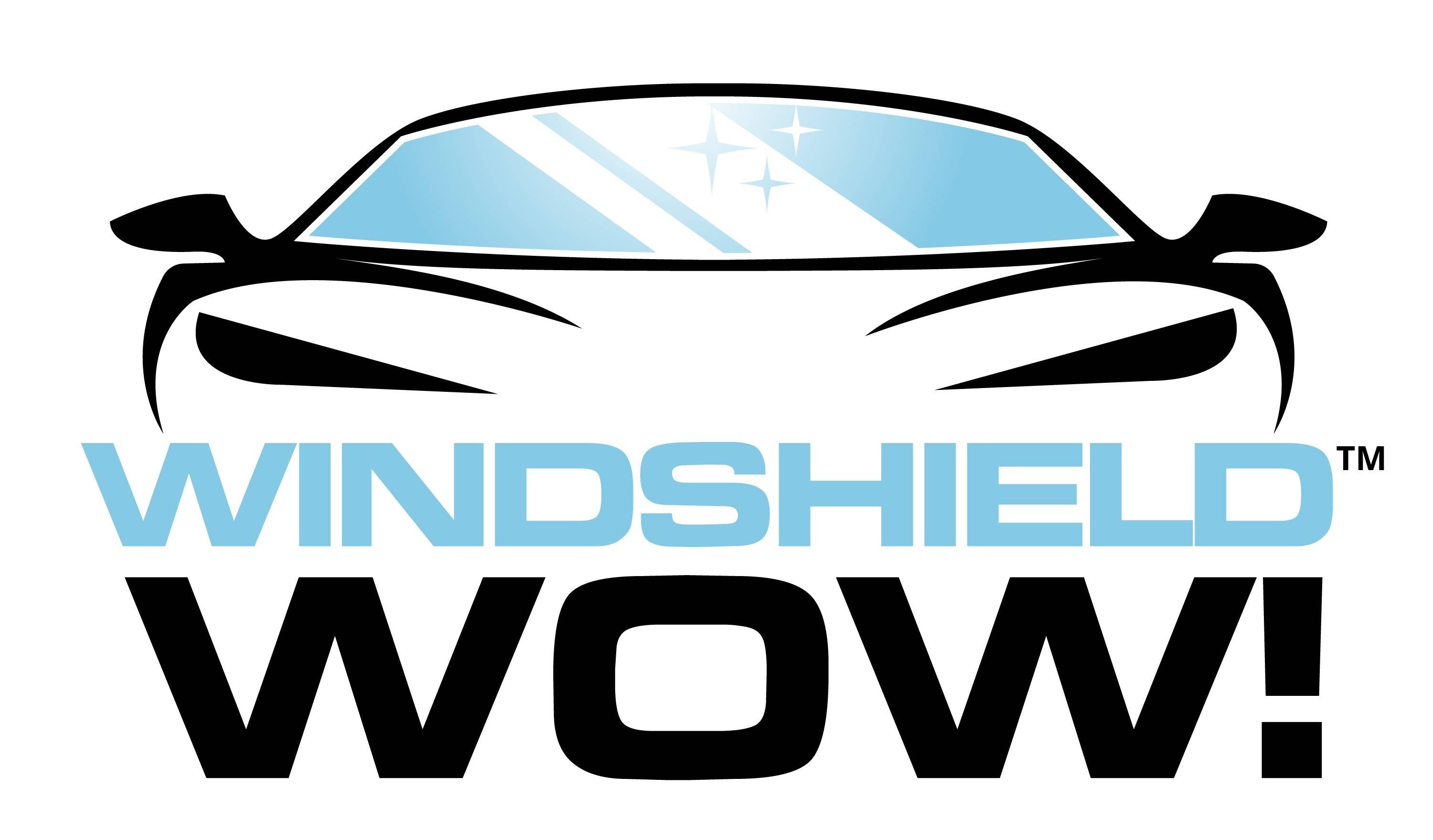 Windshield WOW! Pro Set Review: Clean Both Sides of Your Windshield at Once