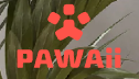 Pawaii logo