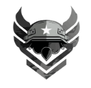 Camo Division logo