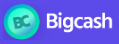 BigcashWeb logo